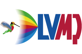 Devilbiss LVMP